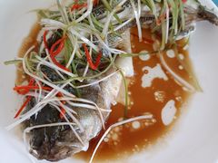 -天鹅到家·保姆月嫂育儿嫂(蔚蓝海岸店)