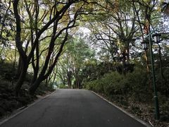 -蜀冈西峰生态公园