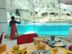 -帝企鹅自助餐厅•儿童岛•真企鹅(长隆企鹅酒店)