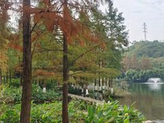 -重庆彩云湖湿地公园