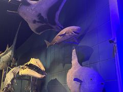 -浙江自然博物院(杭州馆)
