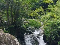 -花溪风景区