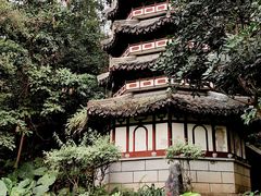 -深圳国际园林花卉博览园