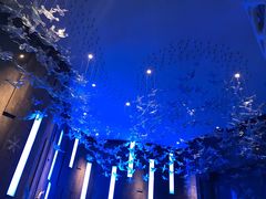 -瑞德姆美人鱼海底演艺主题餐厅(亚龙湾店)
