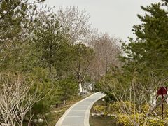 -西海子公园