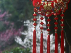 -杭州植物园