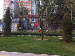 -北京中医药大学第三附属医院