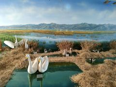 -延庆地质公园博物馆