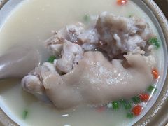 -叁煨蹄花·下饭盐帮菜(人民广场店)
