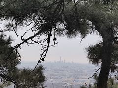 -香山公园
