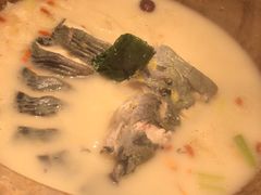-滇小鱼·云南野生菌火锅(上杭路店)