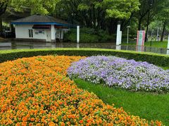 -新虹桥中心花园