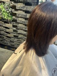-Z.X HAIR SALON张新美业