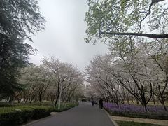 -白塘生态植物园