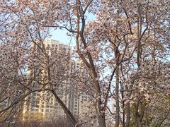 -白塘生态植物园