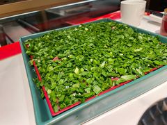 韭菜牛肉-小龙翻大江文化火锅(宽窄店)