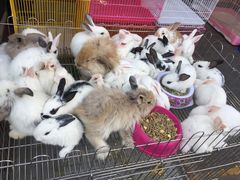 -宠爱我(南山店)