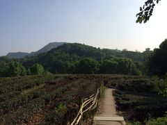 iphone_upload_pic-西湖风景区十里琅珰-五云山