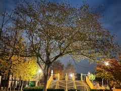 -太阳岛度假酒店