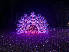 -飞凤山奥体公园