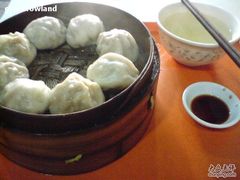 -百年尹氏汤包(湖南路狮子桥店)