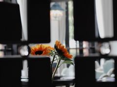 -翠湖宾馆·中餐厅