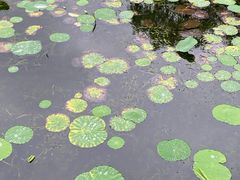 -望湖公园