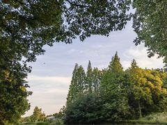 -动邦皮划艇·桨板·独木舟·团建户外运动俱乐部