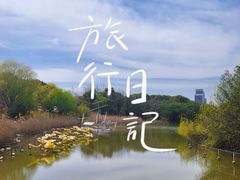 -上海吴淞炮台湾国家湿地公园