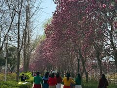 -洛阳市隋唐城遗址植物园