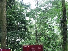 -青城山