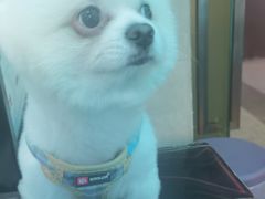 -木木不哭电竞馆(龙湖时代汇店)