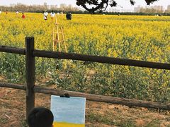 -汉长安城未央宫国家考古遗址公园