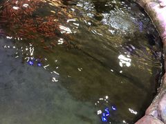 -鸿通城购物中心