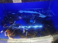 -榕港名轩(天禧店)