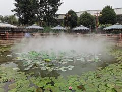 -马帮寨院坝火锅(龙港公园店)