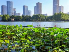 -尚贤河湿地
