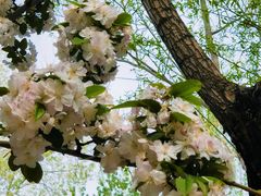 -元大都城垣遗址公园