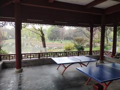 -堤角公园