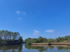 -溱湖国家湿地公园