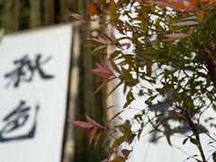 -天目湖御水温泉·度假酒店