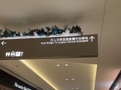 -陆家嘴空中步行连廊