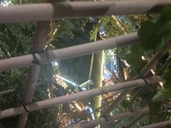 -巴倒烫陆派重庆火锅(南山店)