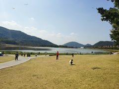 -风云岭森林公园