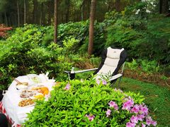 -铁山坪森林公园