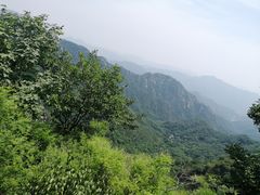 -大岭沟猕猴桃谷风景区