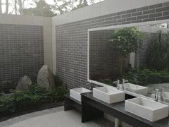 -王借岗森林公园