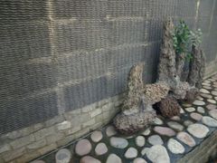 -青藤汗蒸时代会所