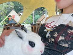 -云栖山谷野奢营地