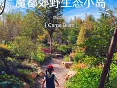 -上海长兴岛郊野公园